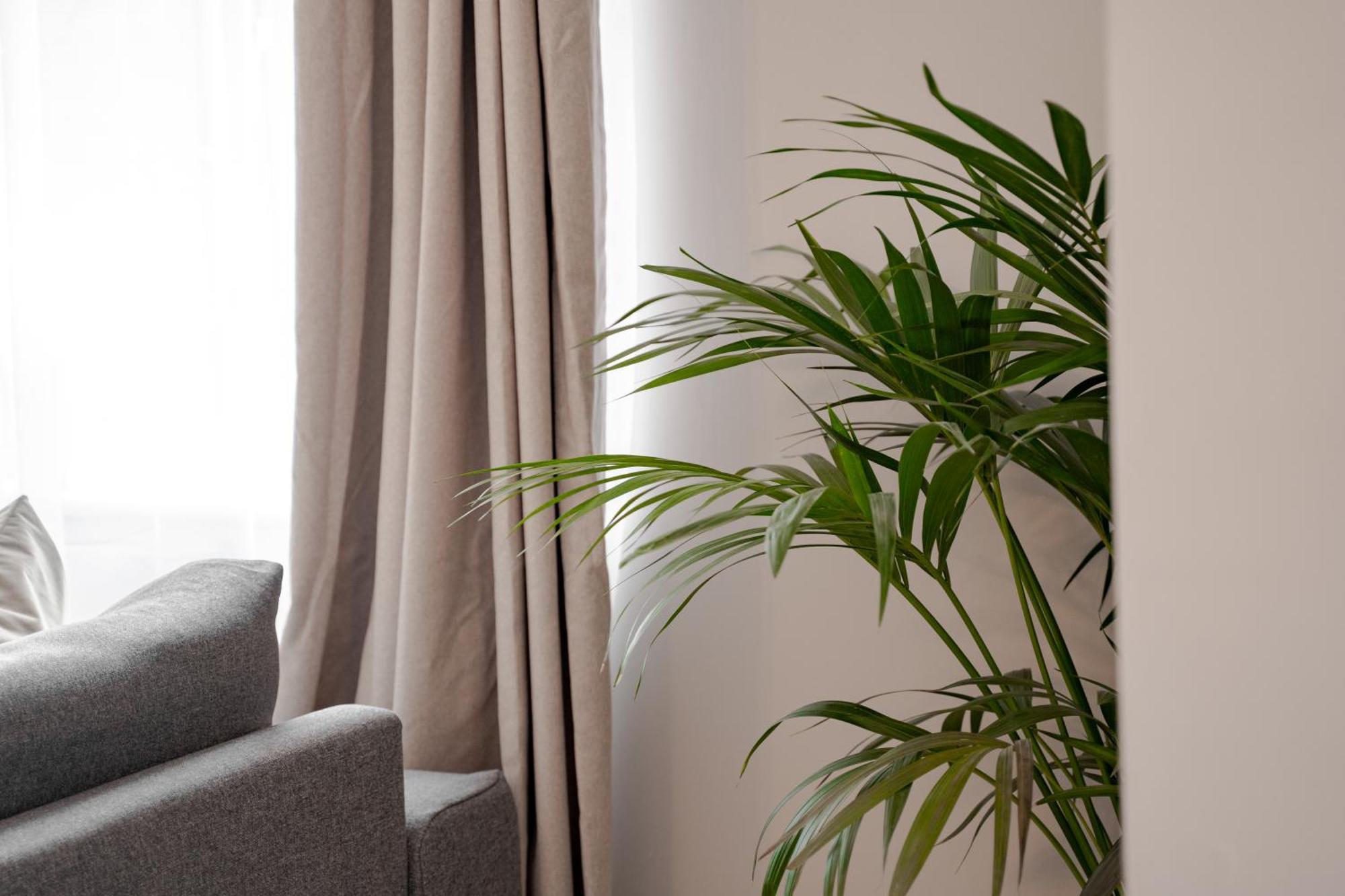 Stylish & Recently Refurbished Chester Apartment - Up To 6 Екстериор снимка